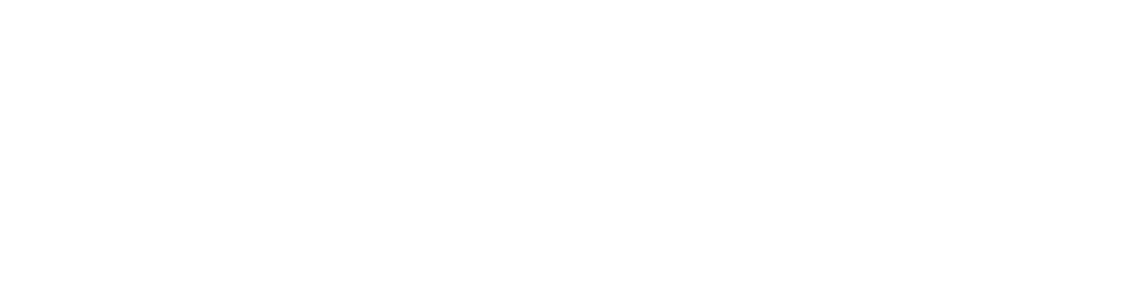 BVNK