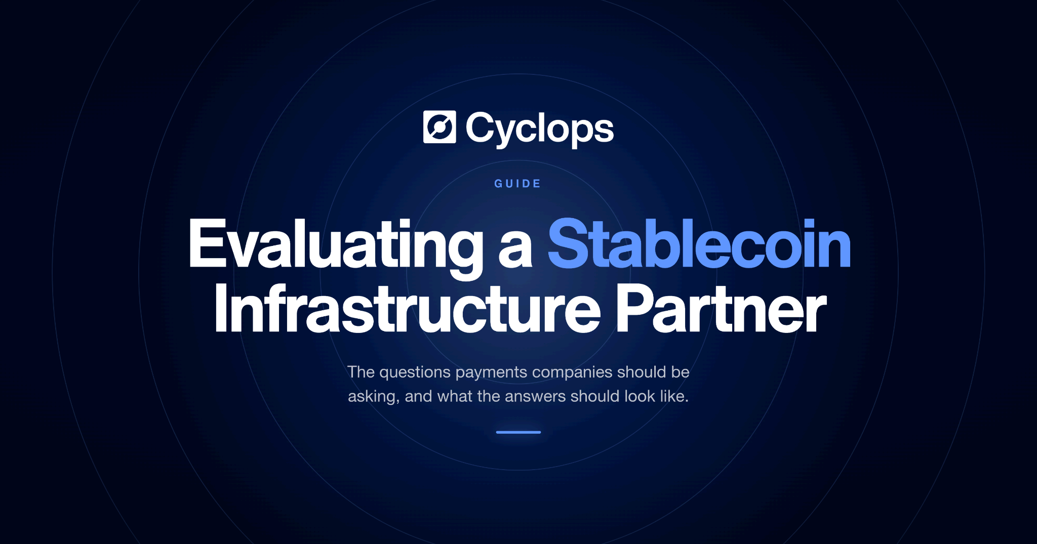 Evaluating a Stablecoin Infrastructure Partner